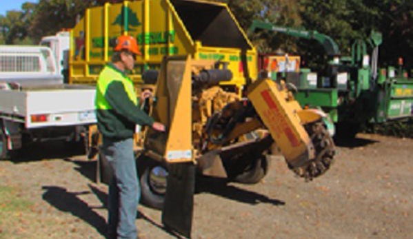 Curtis Tree Lopping Specialists