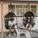 Feels Like Home: Dog Care - Dog Training