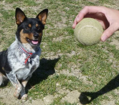 New Leash On Life - Newhall, CA