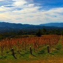 Four Brix Winery and Tasting Room - Wineries
