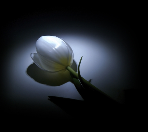 Logan & Co Funerals - Moree, NSW