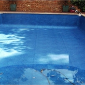 Gallery Image Number 6