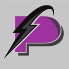Plesh Electric