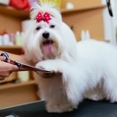 The Dog House Pet Salon - Pet Boarding & Kennels