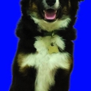 LightHearted Greetings,LLC - Greeting Cards