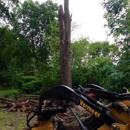 Costa Property Maintenance - Tree Service