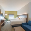 Holiday Inn Express & Suites Tampa -Usf-Busch Gardens by IHG gallery