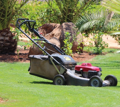 Lake Conroe Lawn Care - Montgomery, TX