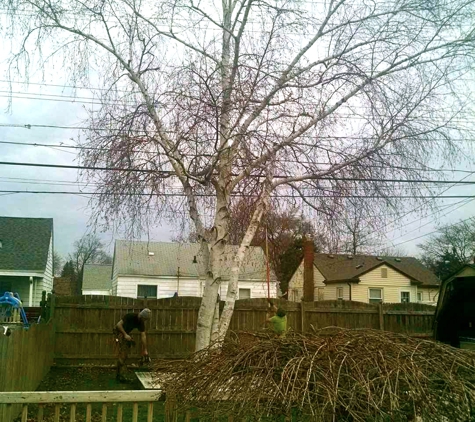 Top Tree Care Inc. - Utica, MI