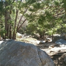 Idyllwild Alarm Co - Publishers