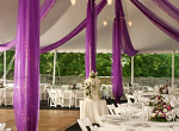 Ideal Party Decorators - Houston, TX