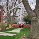 Affordable Tree Care - Landscaping & Lawn Services