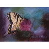 Janice E. York MFT/Pacific Crest Mediation gallery