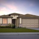 Canter at Morgan Crossing By Centex - Home Builders