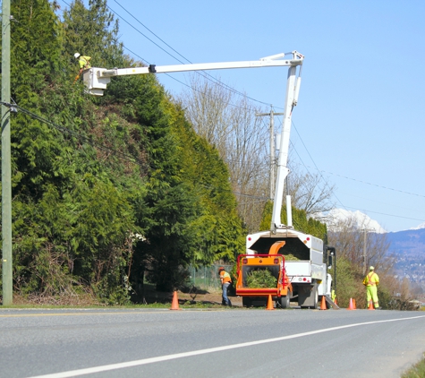 Bell Tree Service Company - Waterbury, CT