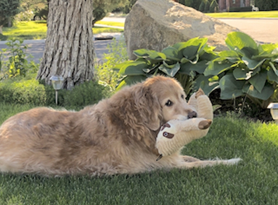 Homeward Bound Veterinary Services, LLC - Reno, NV. Shasta: 15 and a half years, says "Goodbye, I love you always."