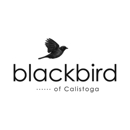 Blackbird of Calistoga - Gift Shops