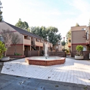Woodchase Apartments - Apartments