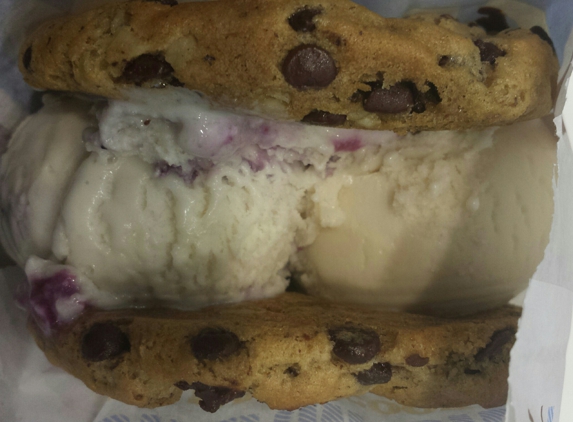 Creamistry - Aliso Viejo, CA. Vegan Banana Walnut Chocolate Chip Cookie with Soy Vanilla & Blueberry Ice Cream