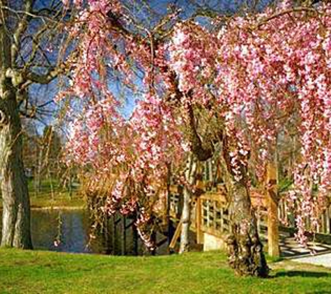 Chateau Inn & Suites - Spring Lake, NJ