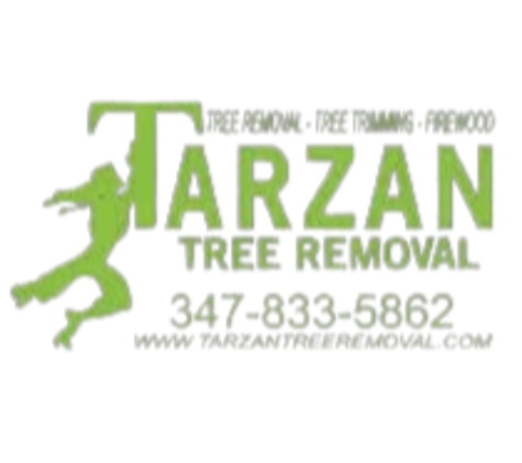 Tarzan Tree Removal - Brooklyn, NY