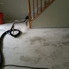 Tulip Carpet Cleaning Eldersburg