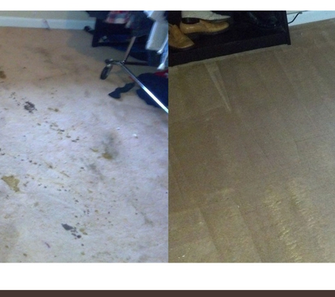 Top Notch Carpet Cleaning - Vancouver, WA