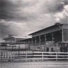 Pimlico Race Course gallery