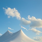 Fred's Tents & Canopies Inc.