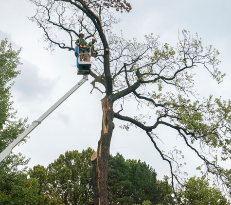 American Tree Care LLC - Palm Coast, FL