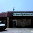 Tropical Greenery - Plants-Interior Design & Maintenance