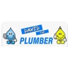 David the Plumber gallery