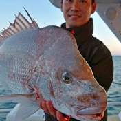 Gallery Image Number 2