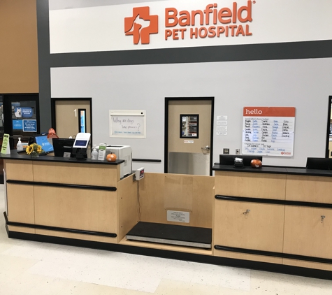 Banfield Pet Hospital - Clearwater, FL