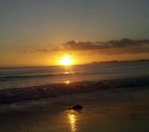 New Brighton State Beach - Capitola, CA