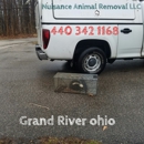 Nuisance Animal Removal - Animal Removal Services