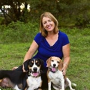 Spicewood K9 Club - Pet Sitting & Exercising Services