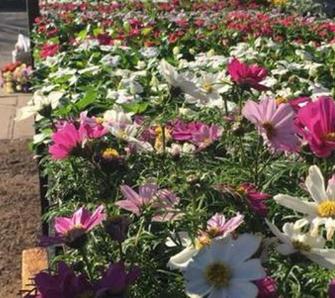 Better Gro Garden Center - Lindenhurst, NY