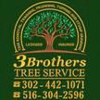 3 Brothers Tree Service gallery