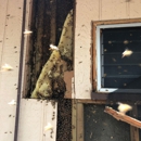 Island Bee Removals - Beekeepers