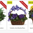 Terry's Florist - Wholesale Florists