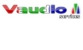 Vaudio Services
