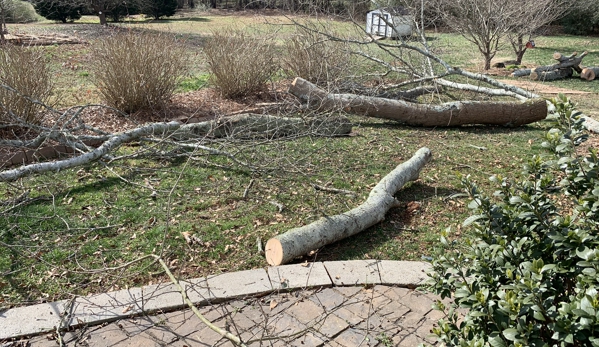 Porterfield Stump & Tree - Watkinsville, GA