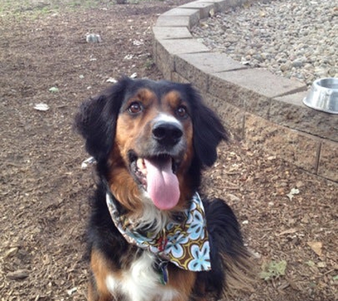 University City Dog Park - Saint Louis, MO