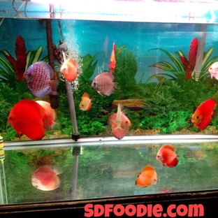 Pet Zone Tropical Fish - San Diego, CA