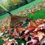 Emerald Cleaning Services & Lawn Care