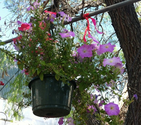 Rainbow Gardens - San Antonio, TX