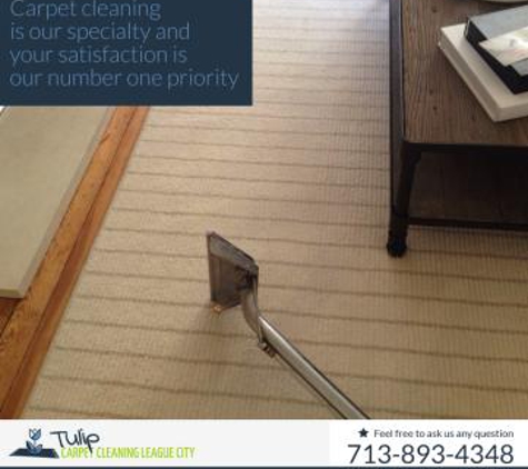 Tulip Carpet Cleaning League City - League City, TX