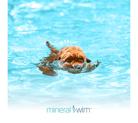 Neptunes Pool Care - Morayfield, QLD