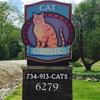 Country Cat Clinic gallery